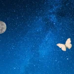 甘映｜映像レビューのカテゴリカード