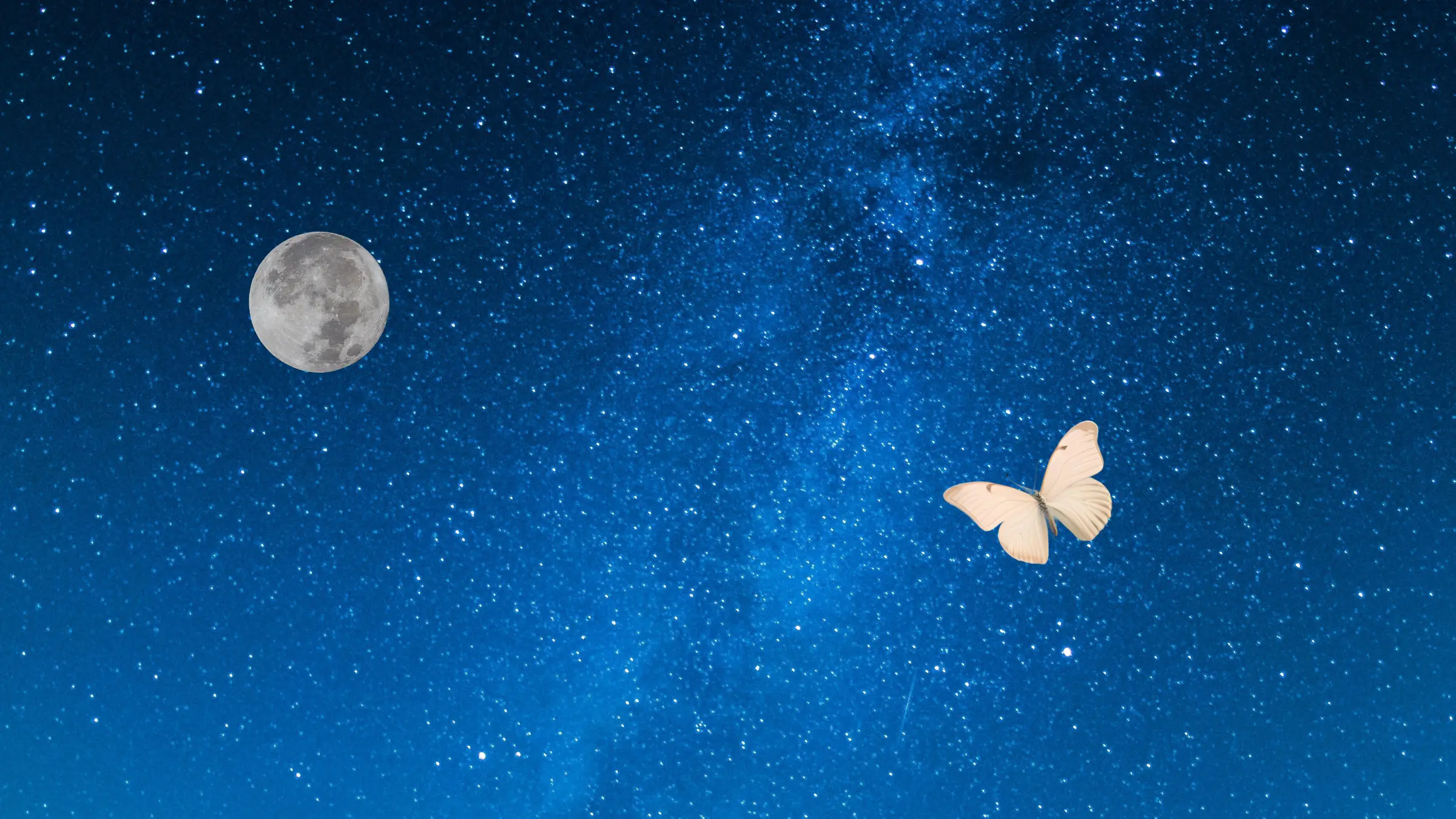 甘映｜映像レビューのカテゴリカード